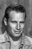 photo Charlton Heston