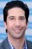 photo David Schwimmer (voce)