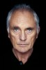 photo Terence Stamp