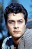 photo Tony Curtis