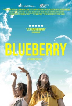 poster Blueberry  (2021)