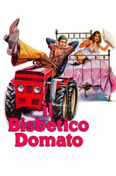 poster Il bisbetico domato  (1980)