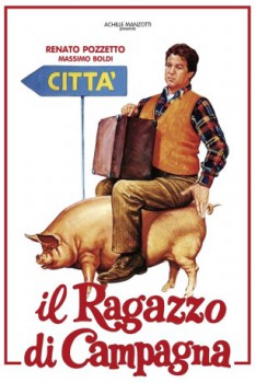 poster Il ragazzo di campagna  (1984)