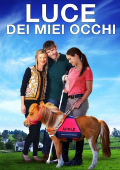 poster Luce dei miei occhi  (2017)