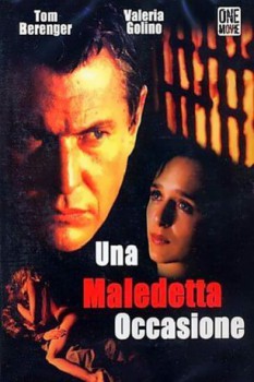 poster Una maledetta occasione  (1996)